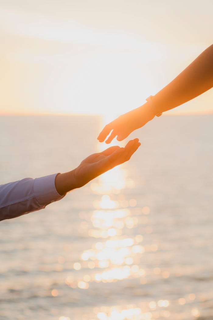 why-choose-us Captivating image of hands reaching out against a sunset in Sinaloa, evoking love and connection.