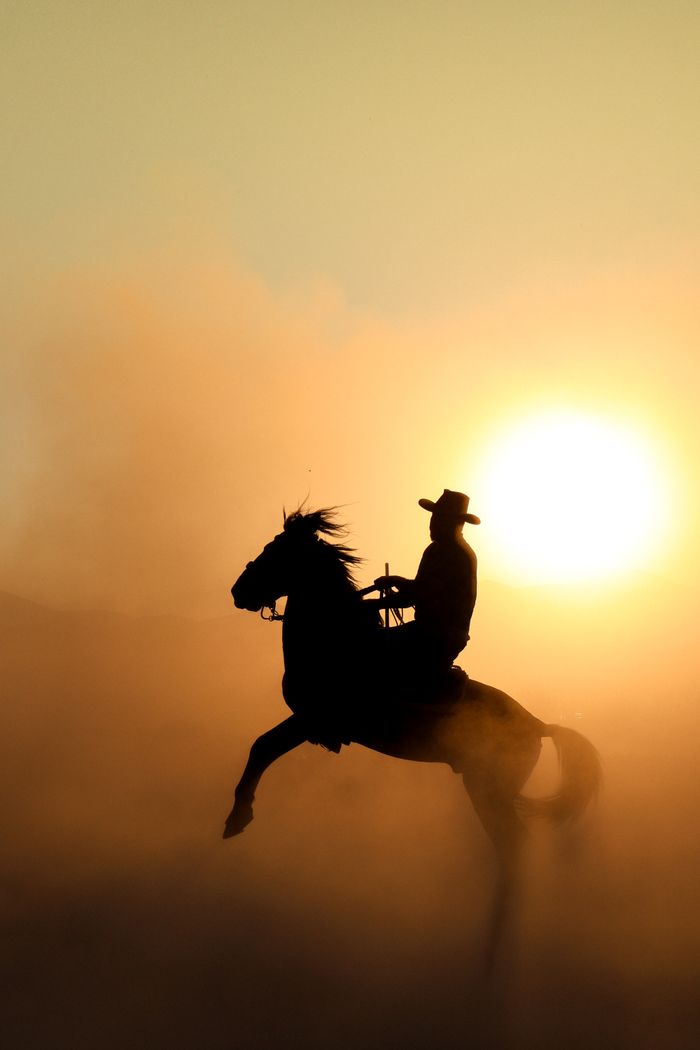 vision A cowboy in silhouette rides a horse during a dusty sunset, creating a dramatic scene.