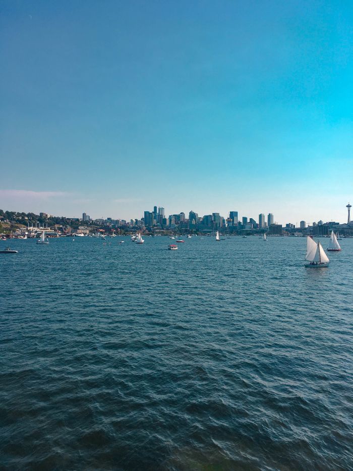 services-01 Serene view of sailboats on a blue lake with a city skyline in the distance.